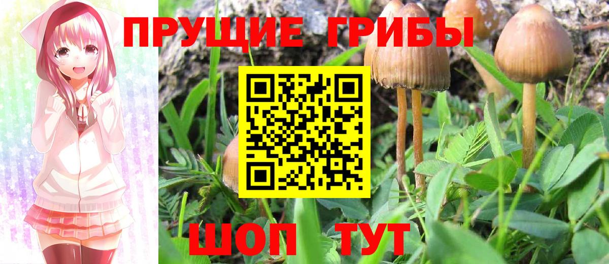 Копейск  Псилоцибиновые грибы MAGIC MUSHROOMS  Вход с VPN 
