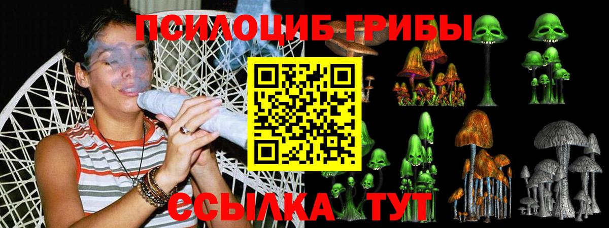Псилоцибиновые грибы мицелий Копейск